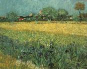 文森特 威廉 梵高 : 前景为鳶尾花的阿尔勒视图